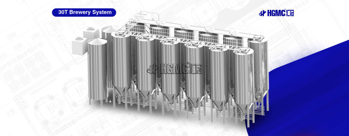 30T Brewery System