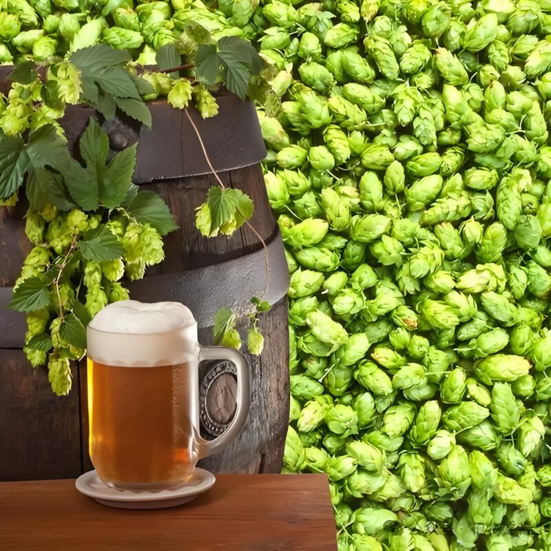 Hop