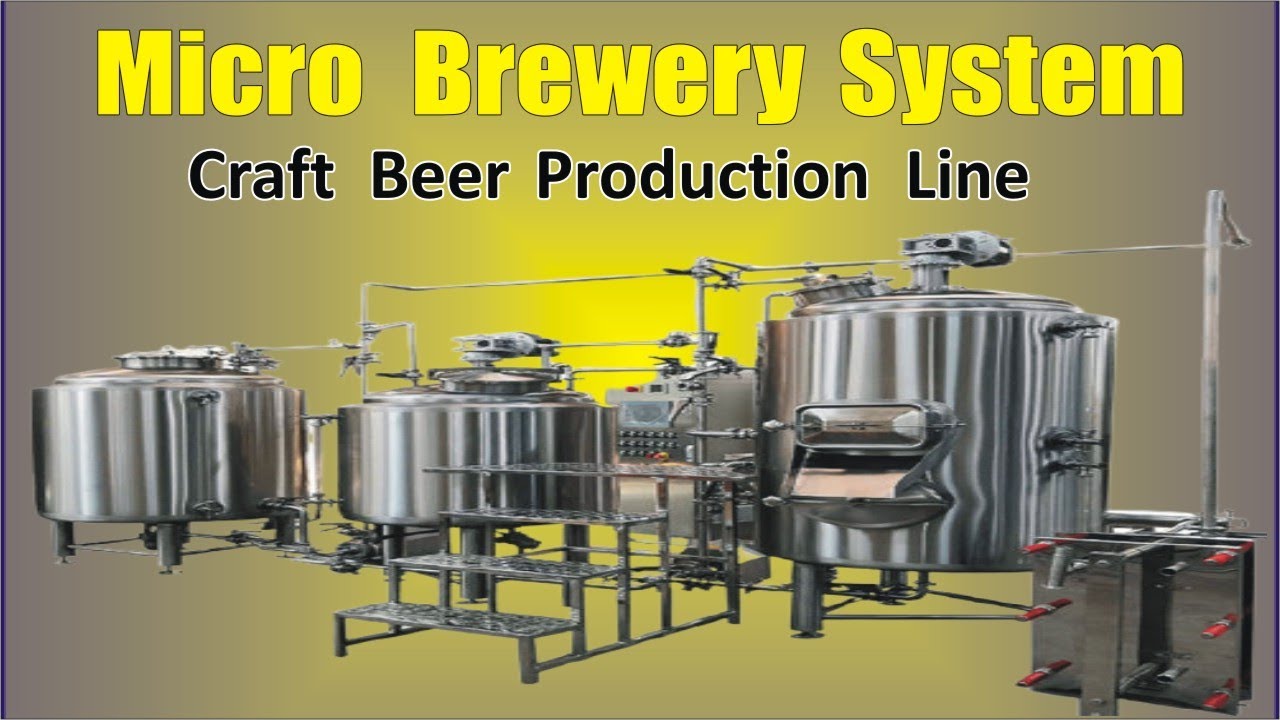 craft brewery system